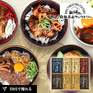 飛騨高山ファクトリー こだわり飛騨丼詰合せE