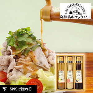 飛騨高山ファクトリー　〜食菜味〜　すこやかドレッシングギフトA
