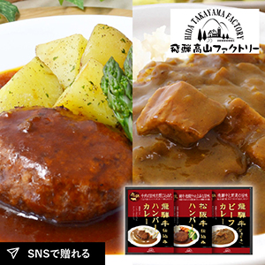 飛騨高山ファクトリー　松阪牛・飛騨牛仕込み　ハンバーグ＆カレー詰合せ