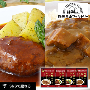 飛騨高山ファクトリー　松阪牛・近江牛・飛騨牛仕込み　ハンバーグ＆カレー詰合せA
