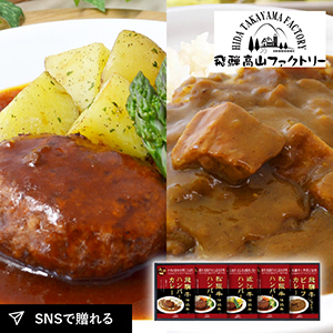 飛騨高山ファクトリー　松阪牛・近江牛・飛騨牛仕込み　ハンバーグ＆カレー詰合せB