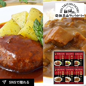 飛騨高山ファクトリー　松阪牛・近江牛・飛騨牛仕込み　ハンバーグ＆カレー詰合せC