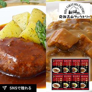 飛騨高山ファクトリー　松阪牛・近江牛・飛騨牛仕込み　ハンバーグ＆カレー詰合せD