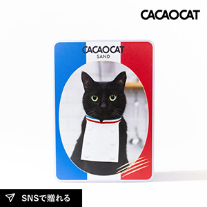 【遅れてごめんね★ホワイトデー】CACAOCAT SAND 缶 ミックス 5個入り