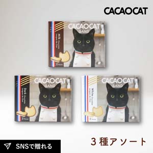 CACAOCAT SAND 3種アソート（ダーク・ミルク・ホワイト）