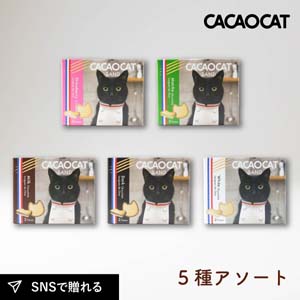 CACAOCAT SAND 5種アソート（ダーク・ミルク・ホワイト・抹茶・ストロベリー）