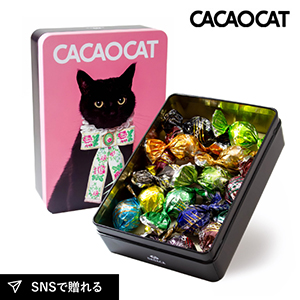 CACAOCAT缶 ミックス 14個入り RIBBON