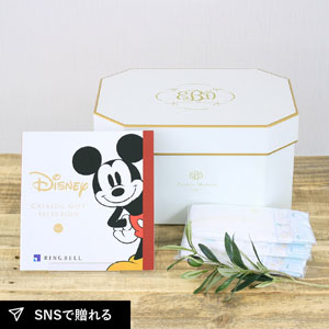 ディズニー（3900円コース）カタログギフト　おむつボックスセット