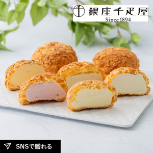【送料無料】銀座千疋屋 銀座プレミアムシューアイス 9個