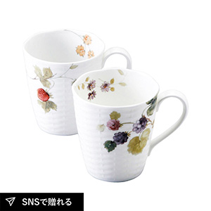 ナルミ ルーシーガーデン ペアマグ