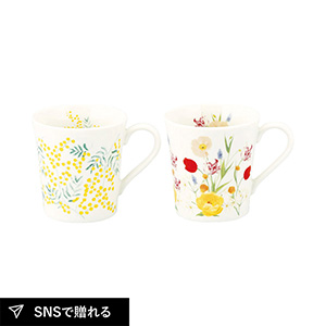 日比谷花壇 ペアマグセット（ミモザ･チューリップ）