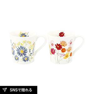 日比谷花壇 ペアマグセット（孔雀草･コスモス）