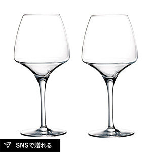 シェフ&ソムリエ オープンナップ プロティスティング ワイン ペア