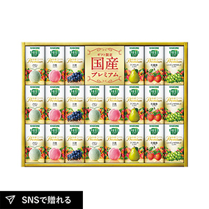 カゴメ 野菜生活100 国産プレミアムギフト（紙容器） B