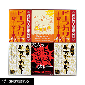 味わいカレーセット6P