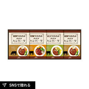 飛騨高山ファクトリー 松阪牛・近江牛・飛騨牛仕込み食べくらべハンバーグ詰合せ B