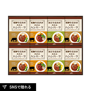 飛騨高山ファクトリー 松阪牛・近江牛・飛騨牛仕込み食べくらべハンバーグ詰合せ D