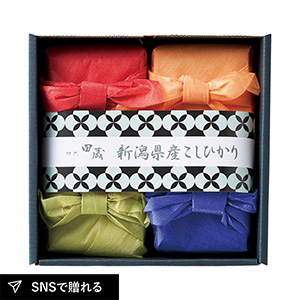 初代田蔵 新潟県産こしひかり・笹川流れ極塩ギフトセット A