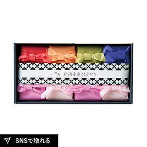 初代田蔵 新潟県産こしひかり・笹川流れ極塩ギフトセット B