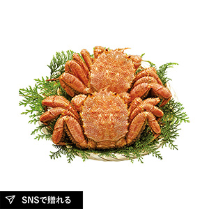 【送料無料】北海道産ボイル毛がに2尾A