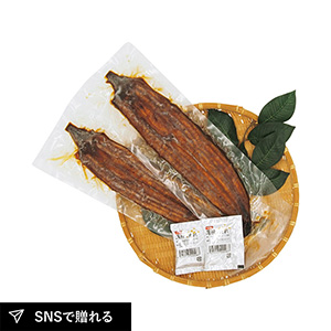 【送料無料】高知「四万十味紀行」高知県産うなぎ長蒲焼