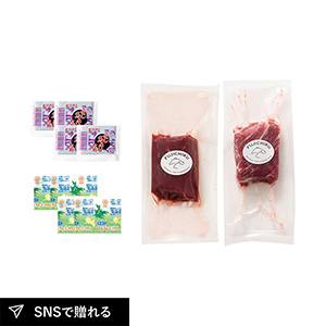 熊本 「フジチク」 ふじ馬さしセット