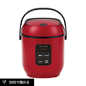 D&S コンパクトライス&フードクッカー