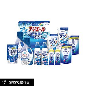 ギフト工房 アリエール抗菌除菌ギフトF