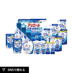 ギフト工房 アリエール抗菌除菌ギフトG