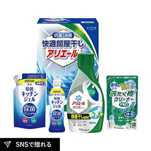 ギフト工房 快適部屋干しアリエールギフトB