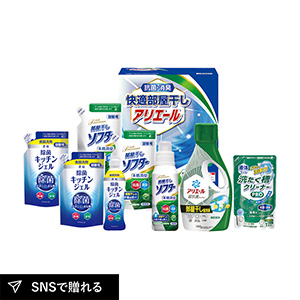 ギフト工房 快適部屋干しアリエールギフトD