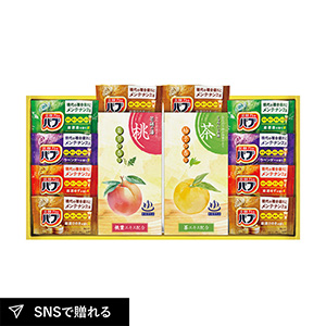 炭酸力の薬用入浴剤セットE