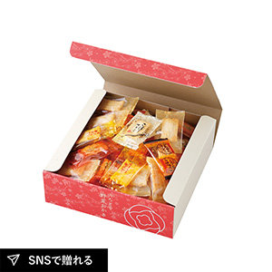 いろどり野菜おかきB