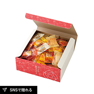 いろどり野菜おかきC