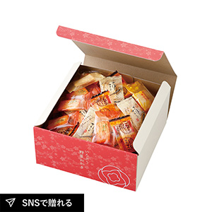 いろどり野菜おかきD