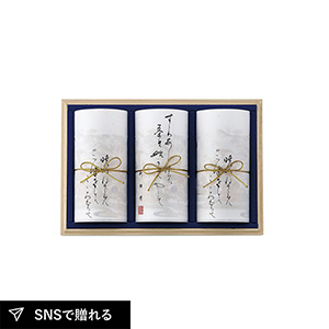 京都利休園 宇治銘茶詰合せE