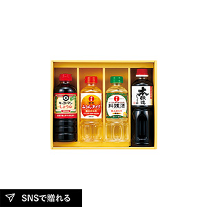 キッコーマン＆調味料バラエティセットB