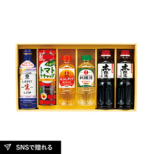 キッコーマン＆調味料バラエティセットD