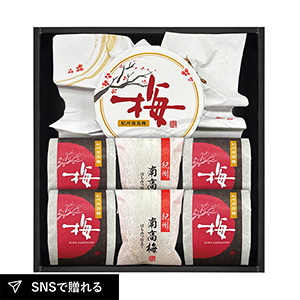 紀州南高梅 紀の和み 詰合せA