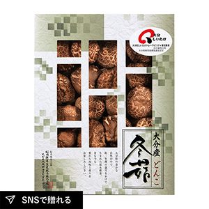 大分産椎茸どんこD