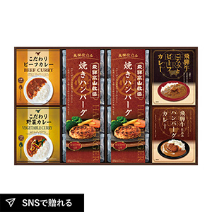 飛騨高山牧場 焼きハンバーグ＆こだわりカレーセットD