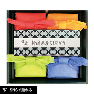 初代田蔵 新潟県産こしひかりギフトA