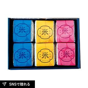 初代田蔵 五つ星マイスター厳選・新潟県産こしひかり味わいギフトB