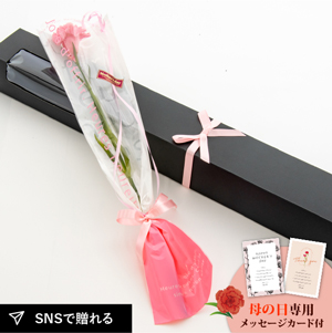★母の日フラワーギフト アイネ