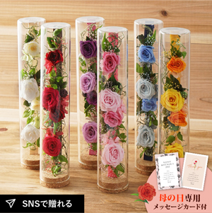 ★母の日フラワーギフト ロゼー