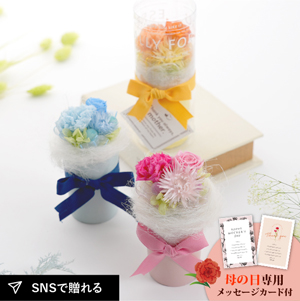 ★母の日フラワーギフト チェリッシュ