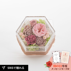 ★母の日フラワーギフト ミュー