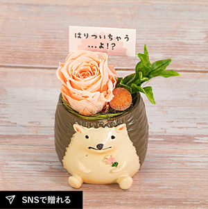 プリザーブドフラワー つぶやくZOO 
