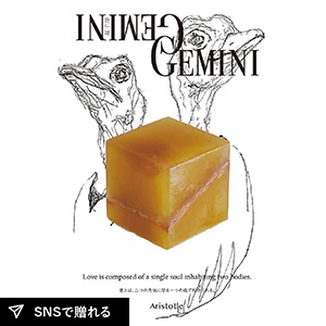 【9.kyuu】コズミックキューブ COSMIC CUBE Gemini 双子座