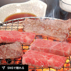 【送料無料】岐阜 飛騨牛焼肉（もも 350g）